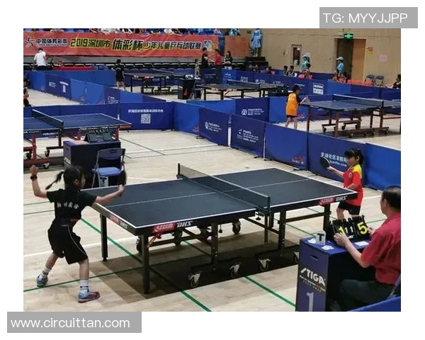 深圳乒乓球队的奋斗历程与荣耀时刻全景回顾 深圳乒乓球队的奋斗历程与荣耀时刻全景回顾