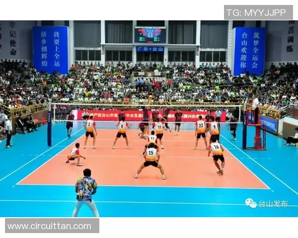 深圳排球队的节奏与技战术深度剖析探秘排球运动的魅力与挑战