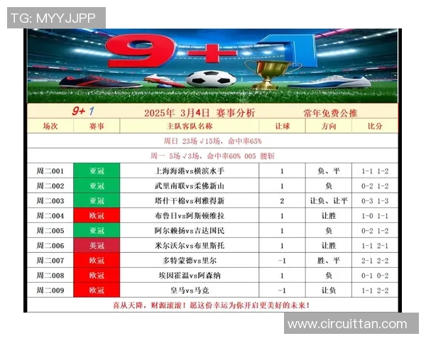 深圳足球队力量表现的数据分析与战术探讨 深圳足球队力量表现的数据分析与战术探讨