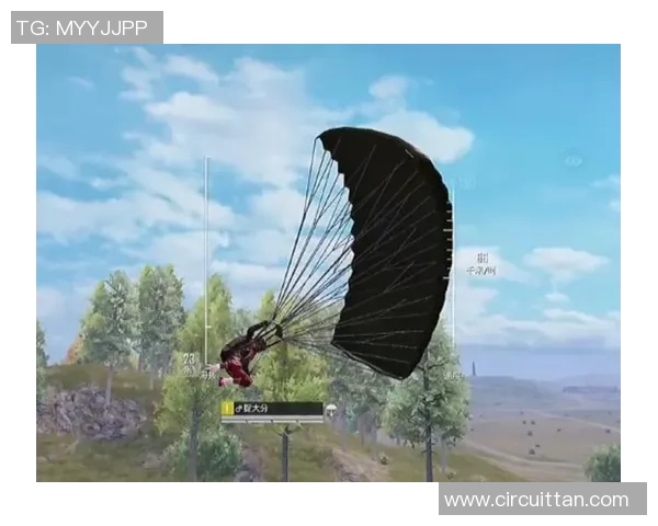 张娜专访：回顾和平精英历程