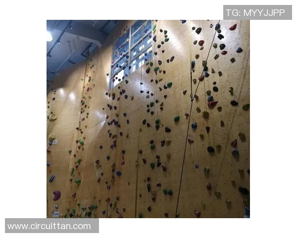 聚焦攀岩:南京攀岩队的耐力话题 聚焦攀岩:南京攀岩队的耐力话题