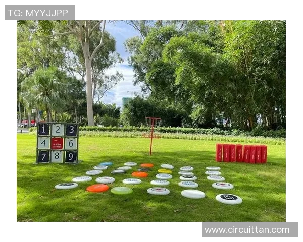 飞盘战术:重庆飞盘队的中路突破体系