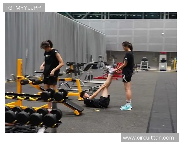 2026排球耐力排行榜：杭州排球队位居第3名