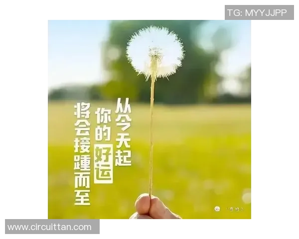 深度对话:周敏的篮球人生 深度对话:周敏的篮球人生