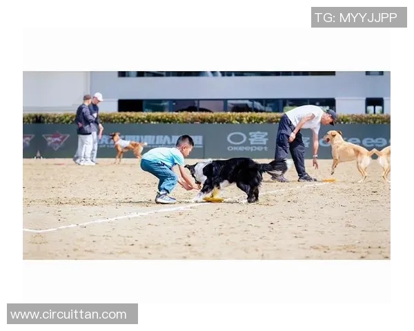 赛后复盘：深圳飞盘队 vs 武汉飞盘队的状态
