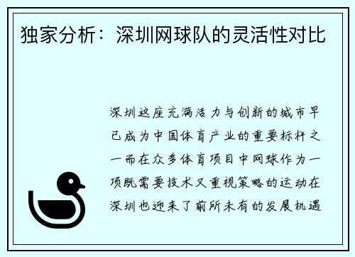 独家分析：深圳网球队的灵活性对比