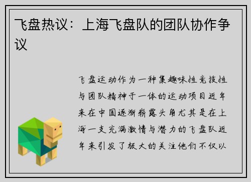 飞盘热议：上海飞盘队的团队协作争议