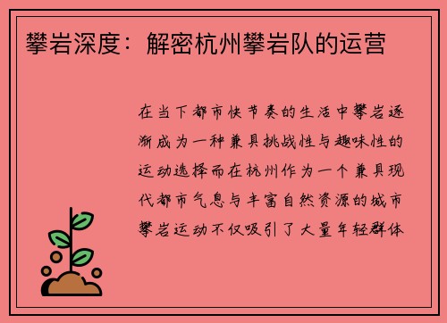 攀岩深度：解密杭州攀岩队的运营